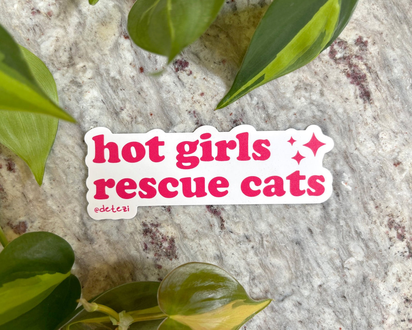 Hot Girls Rescue Cats | 4" Vinyl Sticker - Detezi Designs - 