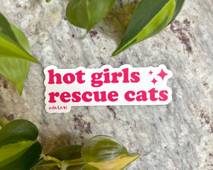 Hot Girls Rescue Cats | 4" Vinyl Sticker - Detezi Designs - 