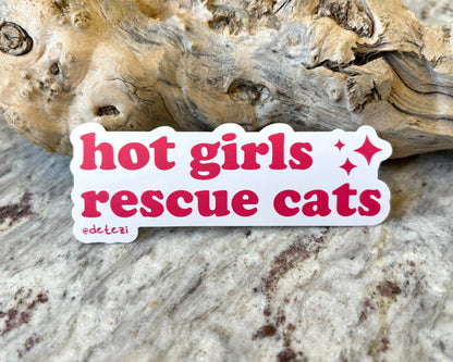Hot Girls Rescue Cats | 4" Vinyl Sticker - Detezi Designs - 