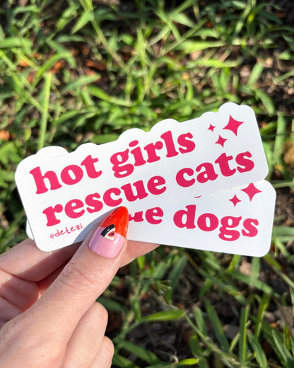 Hot Girls Rescue Cats | Vinyl Sticker - Detezi Designs-