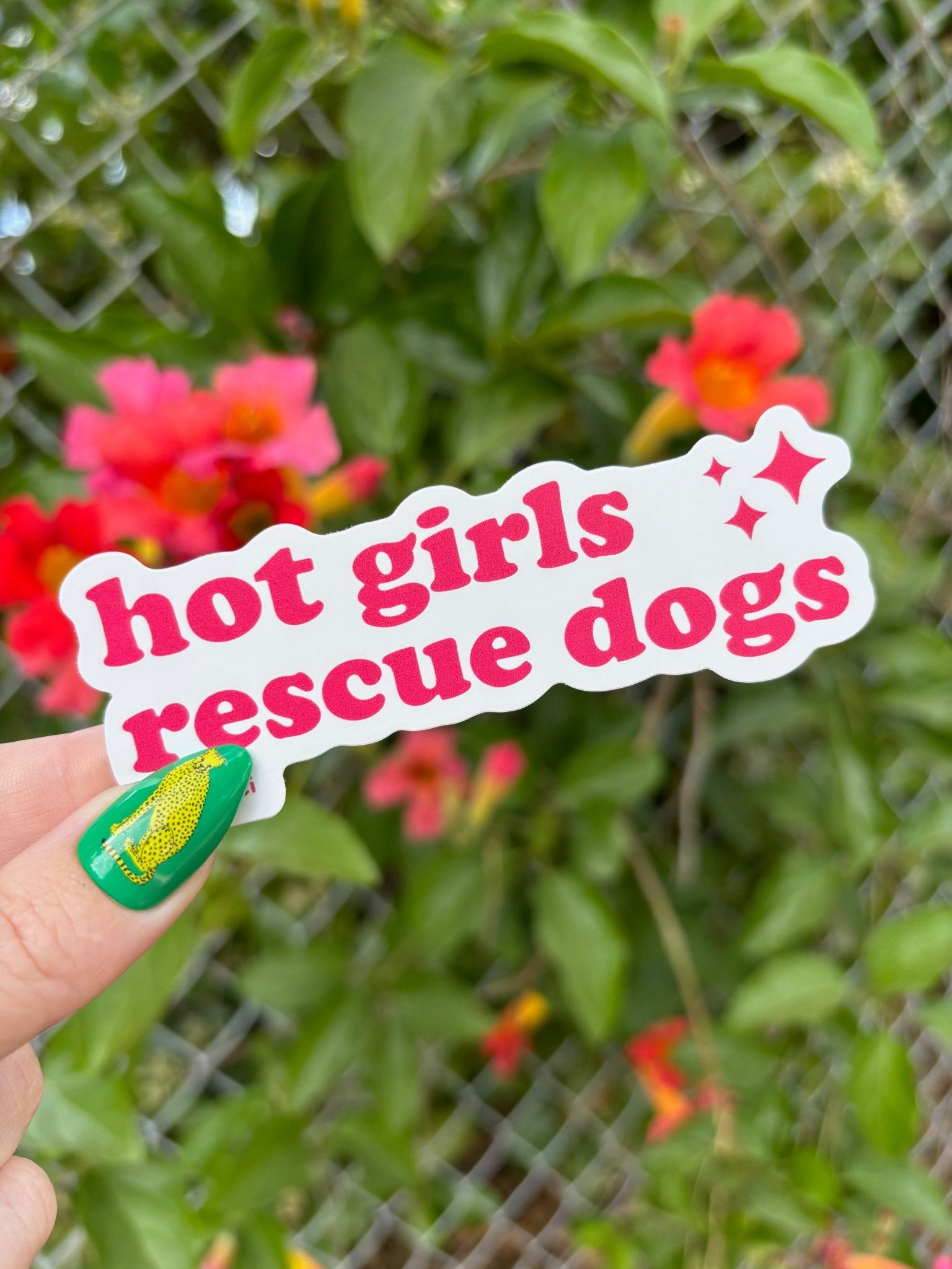 Hot Girls Rescue Dogs | Vinyl Sticker - Detezi Designs - 