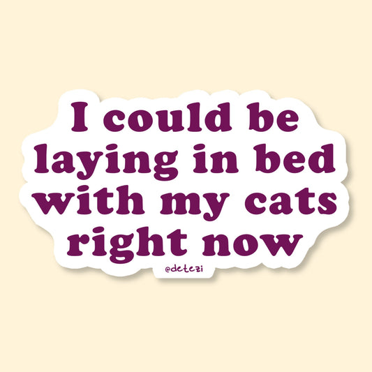 I Could Be Laying In Bed With My Cats Right Now | Vinyl Sticker - Detezi Designs-