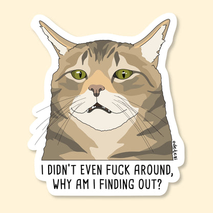 I Didn't Even Fuck Around | Vinyl Sticker - Detezi Designs-