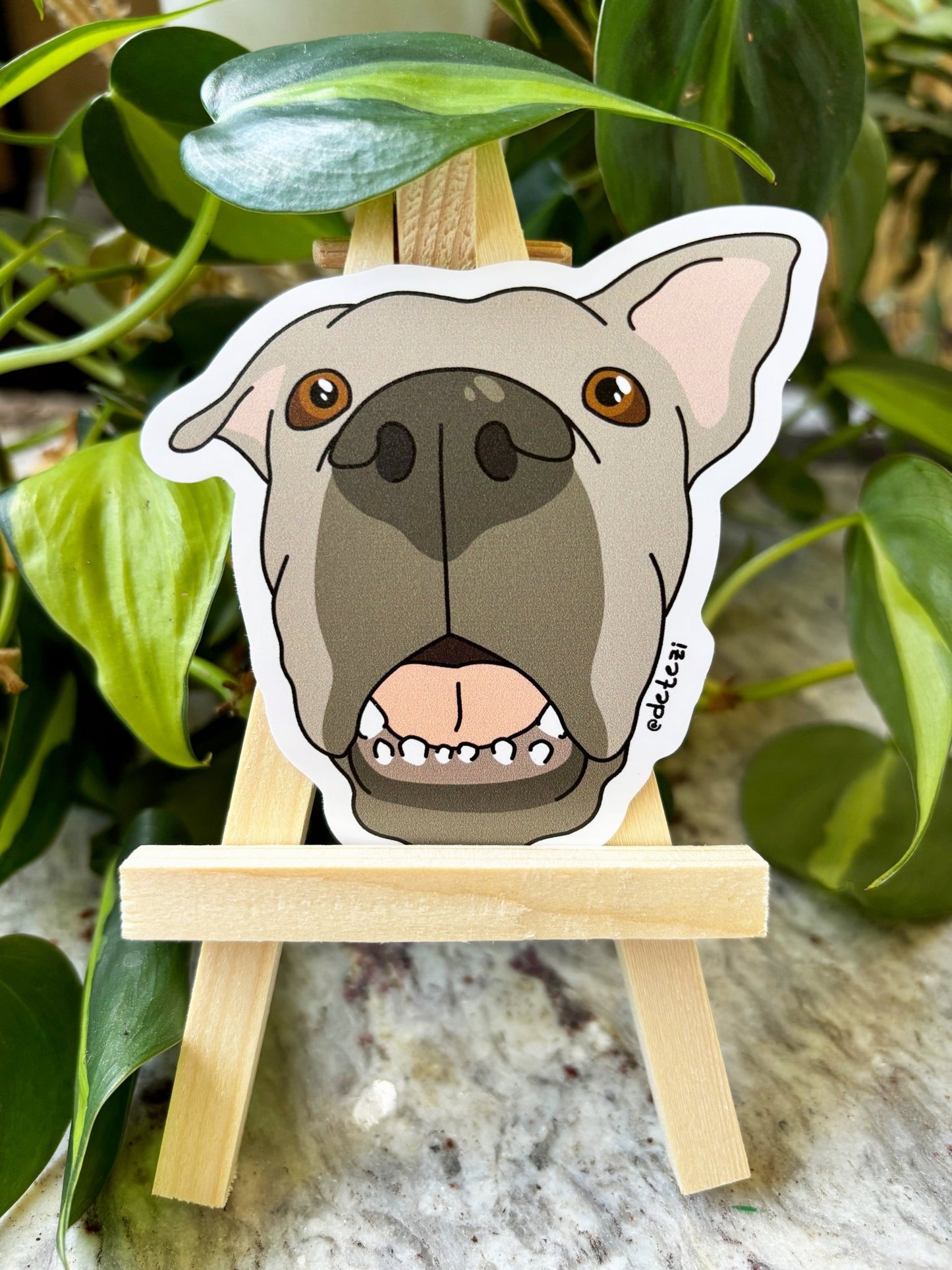 I Like 'Em Goofy | January 2026 Sticker Pack - Detezi Designs - 