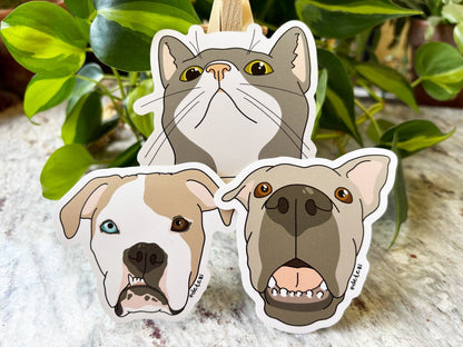 I Like 'Em Goofy | January 2026 Sticker Pack - Detezi Designs - 