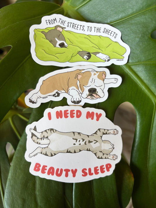 I Need a Nap | September 2025 Sticker Pack - Detezi Designs - 