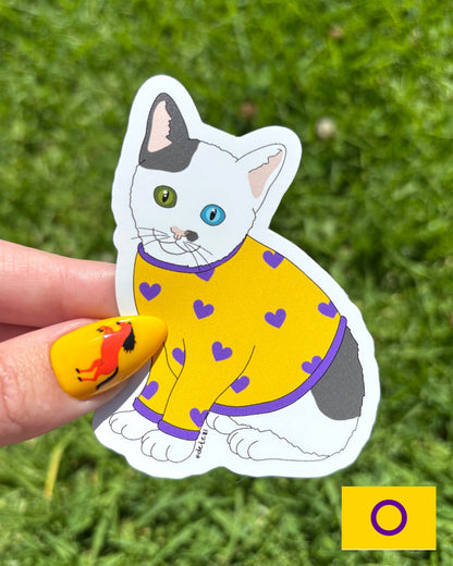 Intersex Kitten | Vinyl Sticker - Detezi Designs-