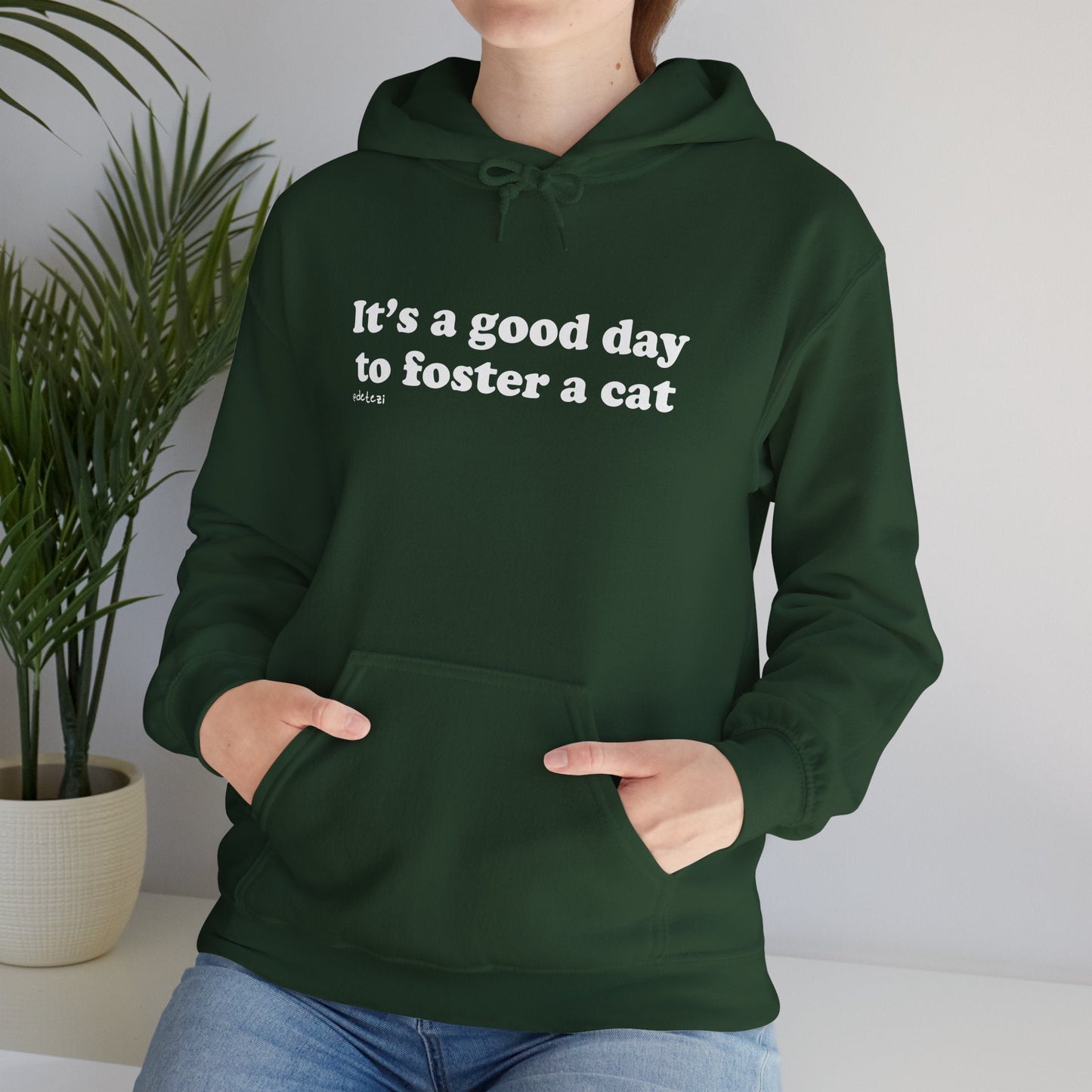 It's A Good Day To Foster A Cat | Hooded Sweatshirt - Detezi Designs - 34507318844830234179