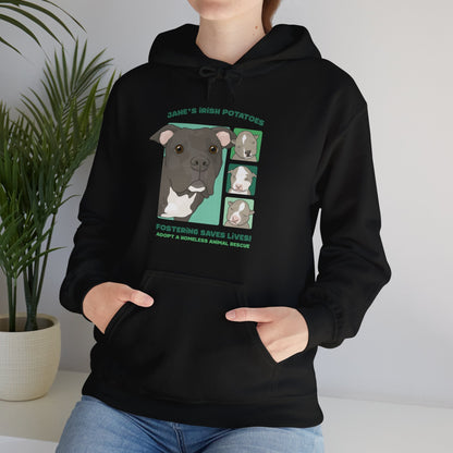 Jane's Irish Potatoes | FUNDRAISER for Adopt A Homeless Animal Rescue | Hooded Sweatshirt - Detezi Designs - 20201312341011257373