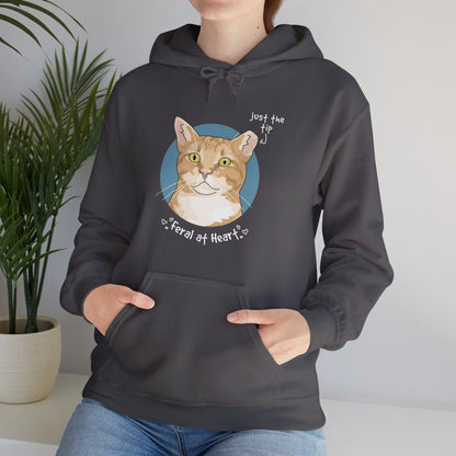 Just The Tip | FUNDRAISER for Feral At Heart | Hooded Sweatshirt - Detezi Designs-33014691919054296064