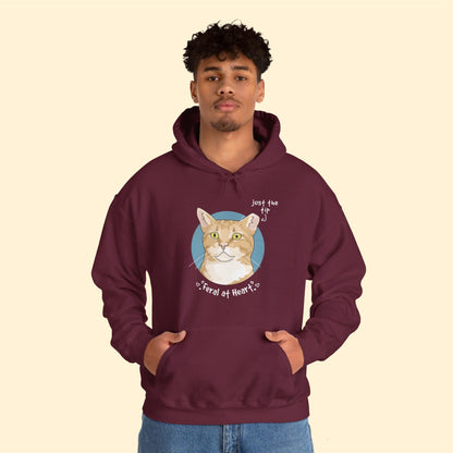 Just The Tip | FUNDRAISER for Feral At Heart | Hooded Sweatshirt - Detezi Designs-33014691919054296064