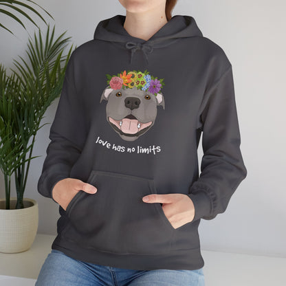 Love Has No Limits | Hooded Sweatshirt - Detezi Designs-46848321309825830368