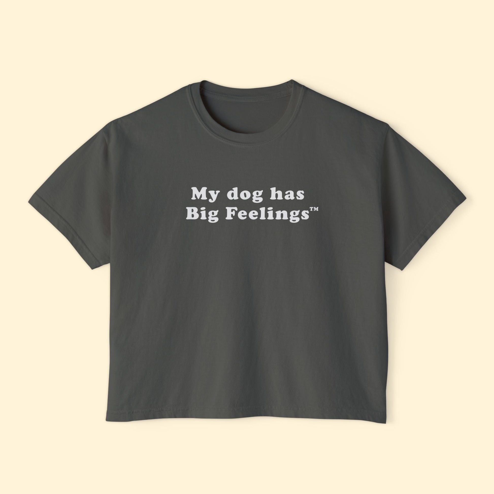 My Dog Has Big Feelings™ | Comfort Colors Boxy Tee - Detezi Designs - 24091706453688309952