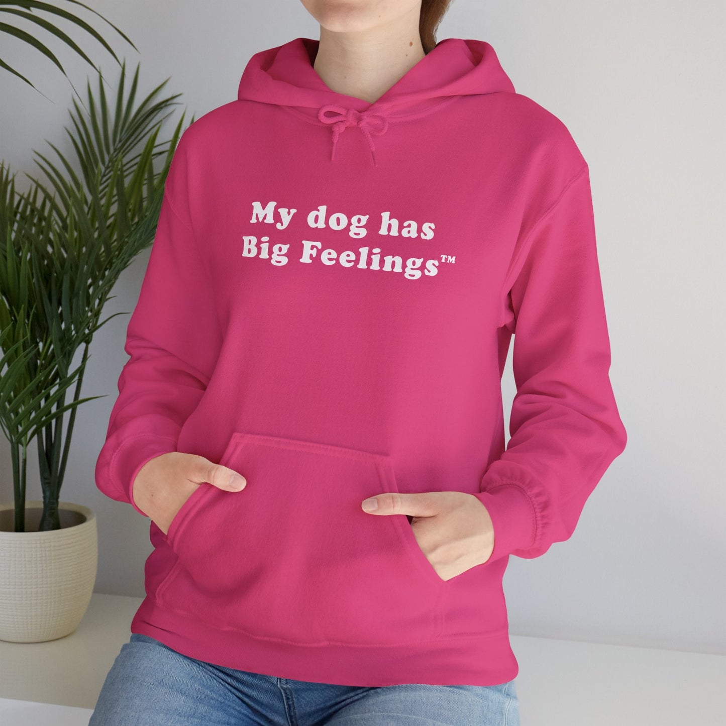 My Dog Has Big Feelings™ | Hooded Sweatshirt - Detezi Designs - 81726418386190767095
