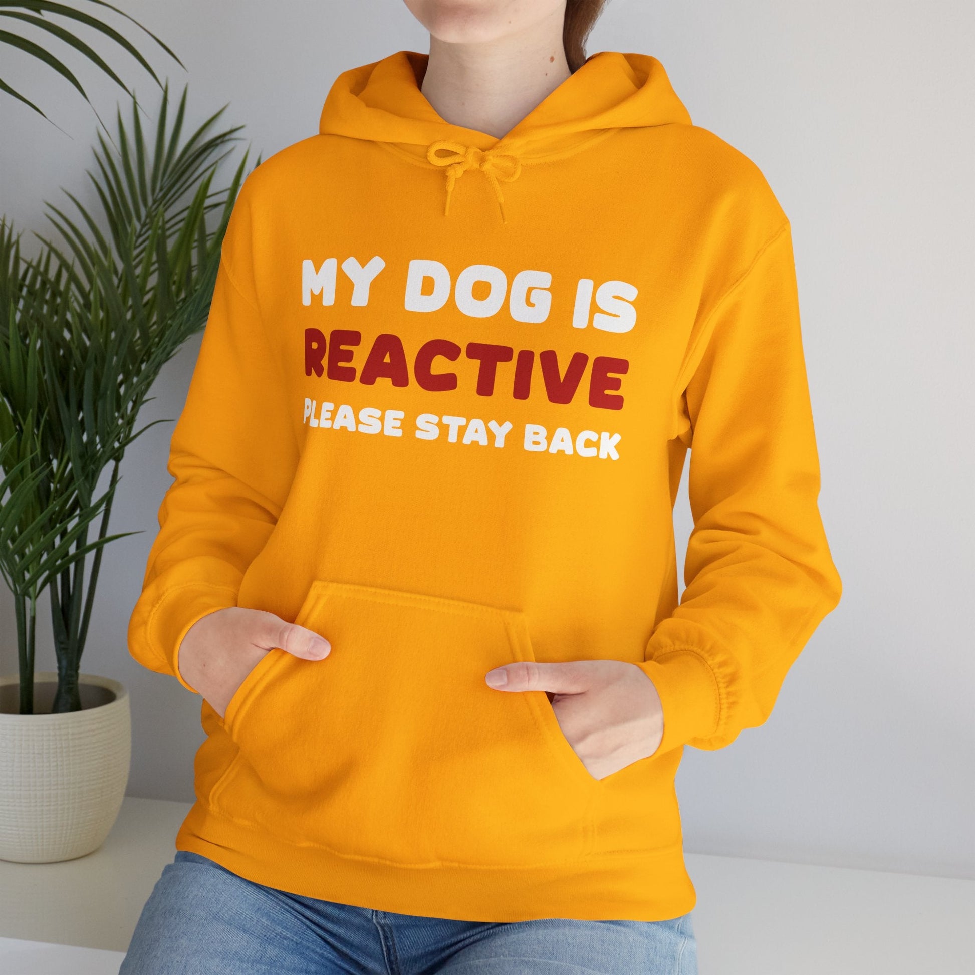 My Dog Is Reactive | 2 - Sided Print | Hooded Sweatshirt - Detezi Designs - 17154282637668776096