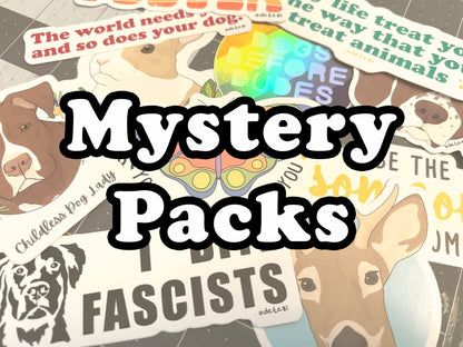 Mystery Sticker Pack! - Detezi Designs-