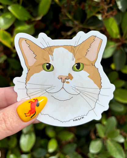 Orange and White DLH Cat | Vinyl Sticker - Detezi Designs - 
