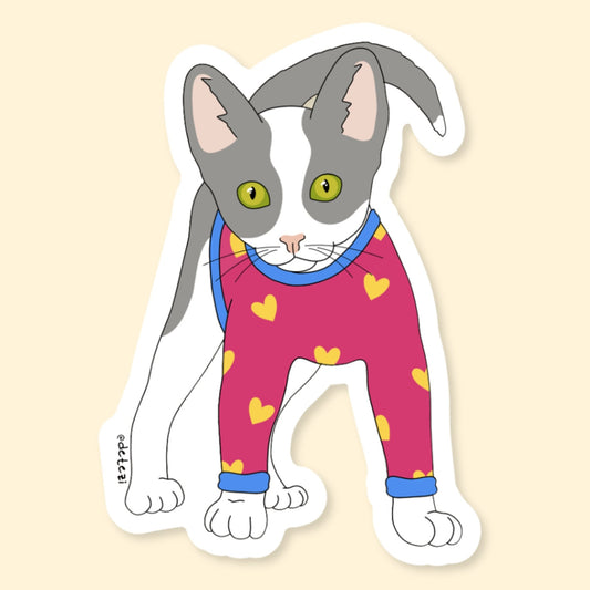 Pansexual Kitten | Vinyl Sticker - Detezi Designs-