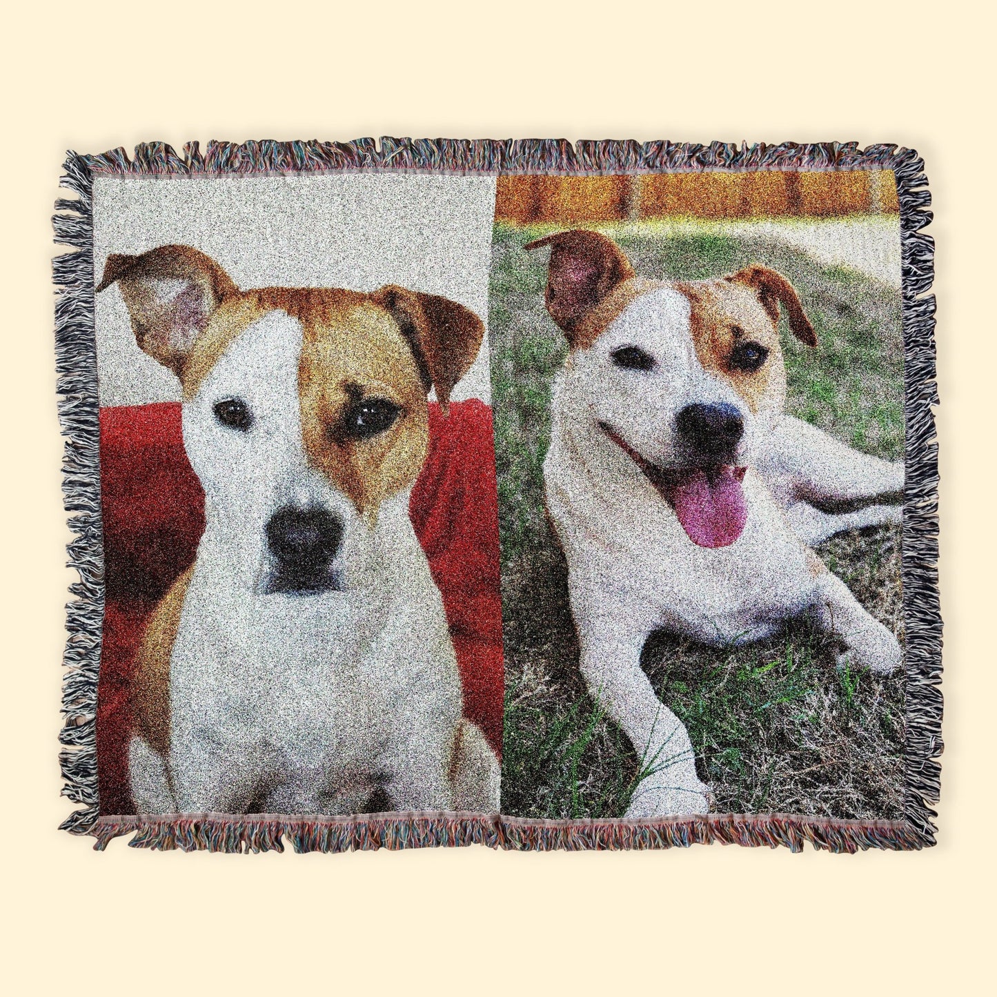 Pet Photos | Custom Woven Blanket - Detezi Designs - 14203672592746173878