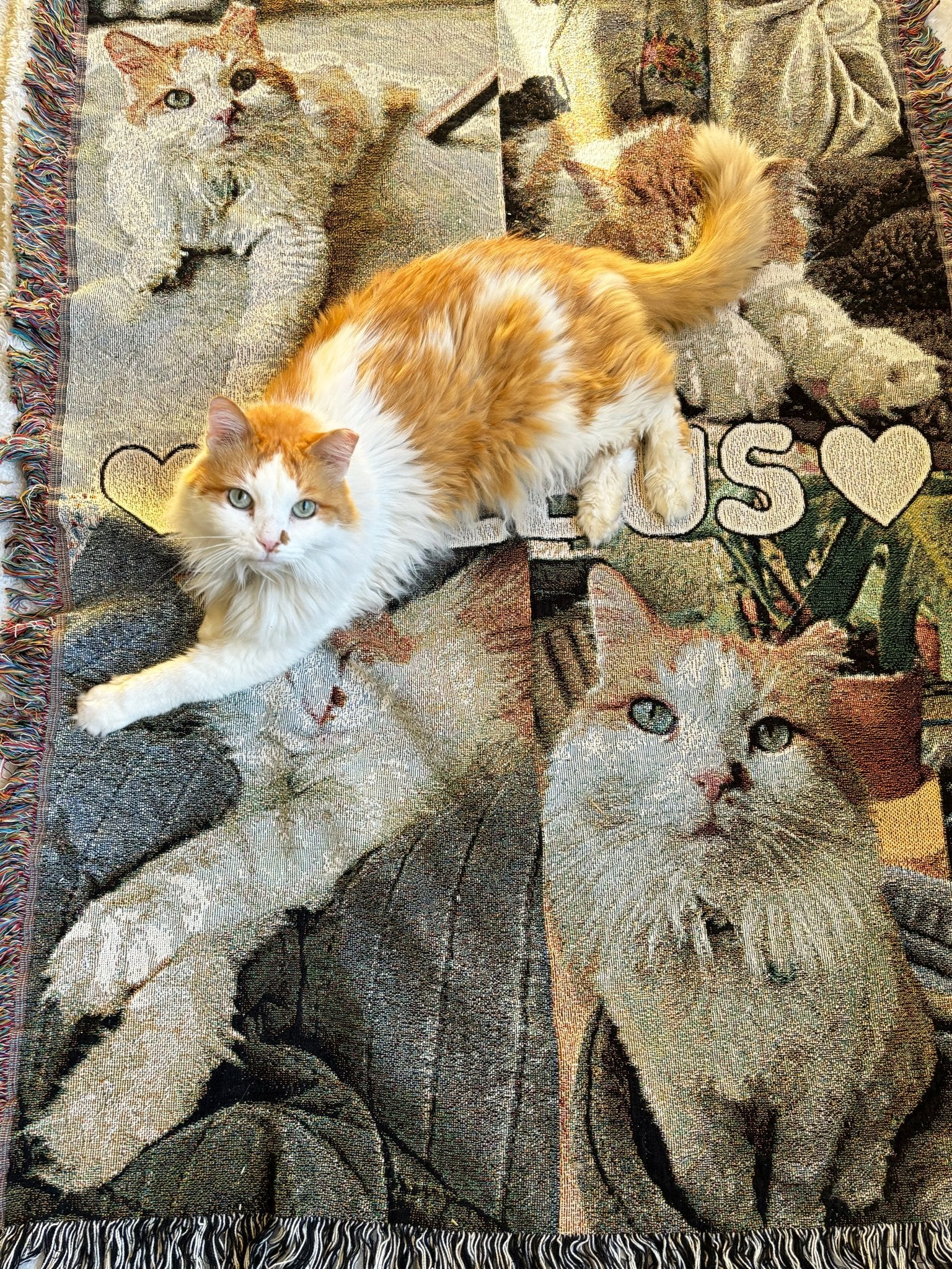 Pet Photos | Custom Woven Blanket - Detezi Designs - 14203672592746173878