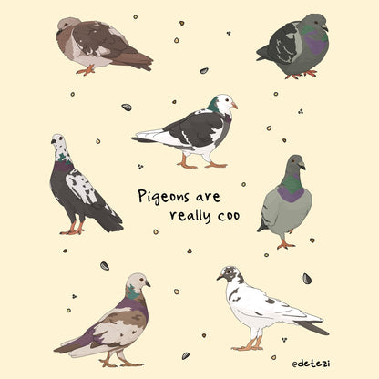 Pigeons Are Really Coo | Giclée Fine Art Print - Detezi Designs - 