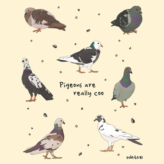 Pigeons Are Really Coo | Giclée Fine Art Print - Detezi Designs - 