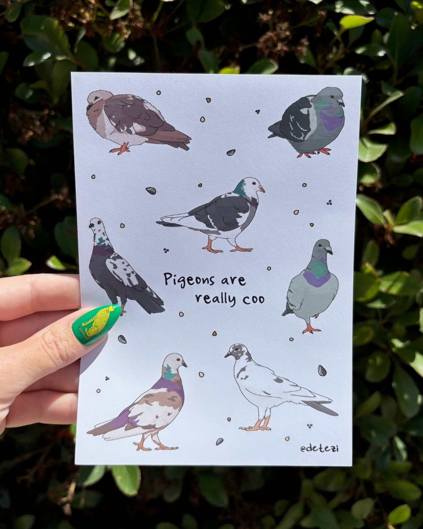Pigeons Are Really Coo | Giclée Fine Art Print - Detezi Designs - 
