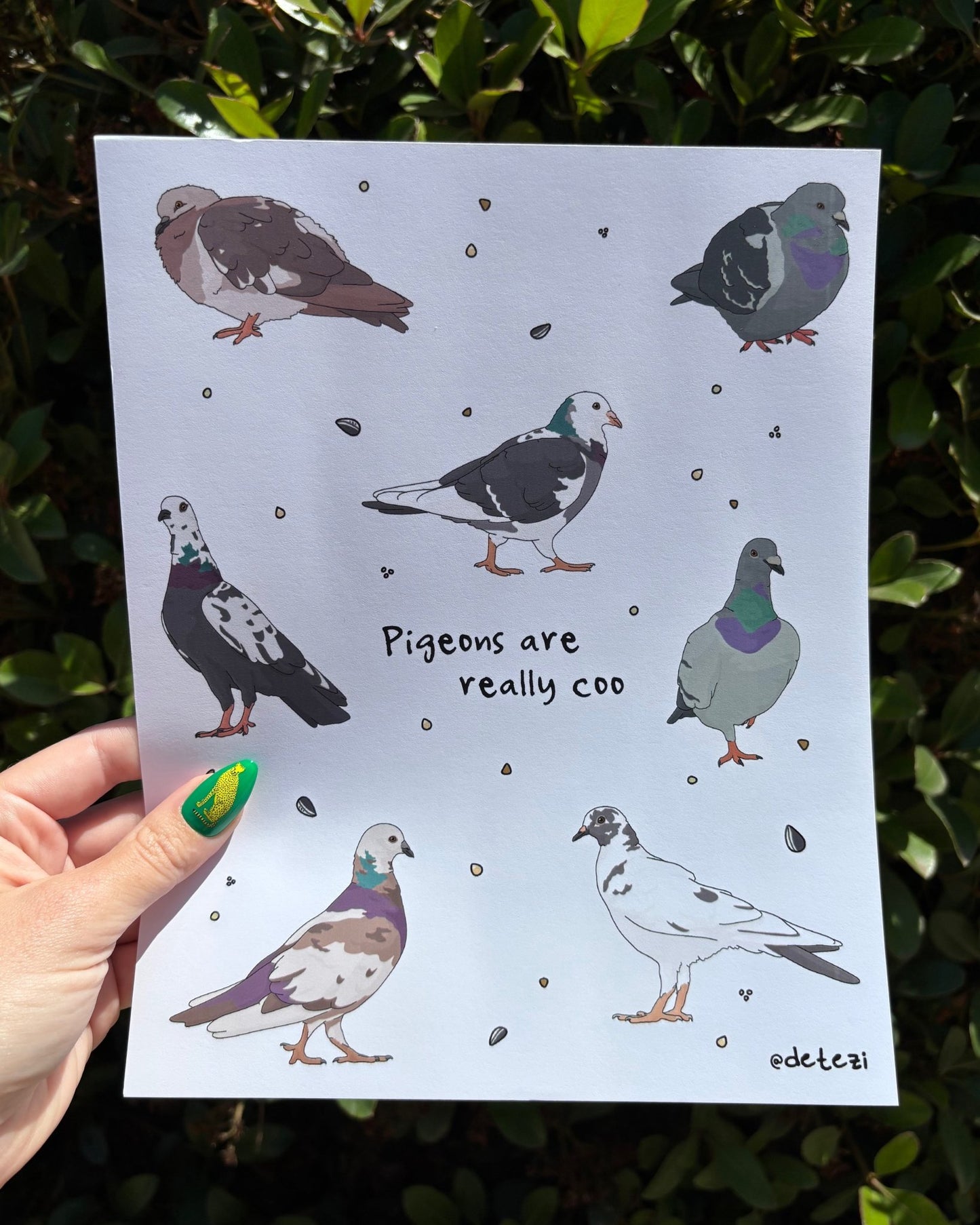 Pigeons Are Really Coo | Giclée Fine Art Print - Detezi Designs - 