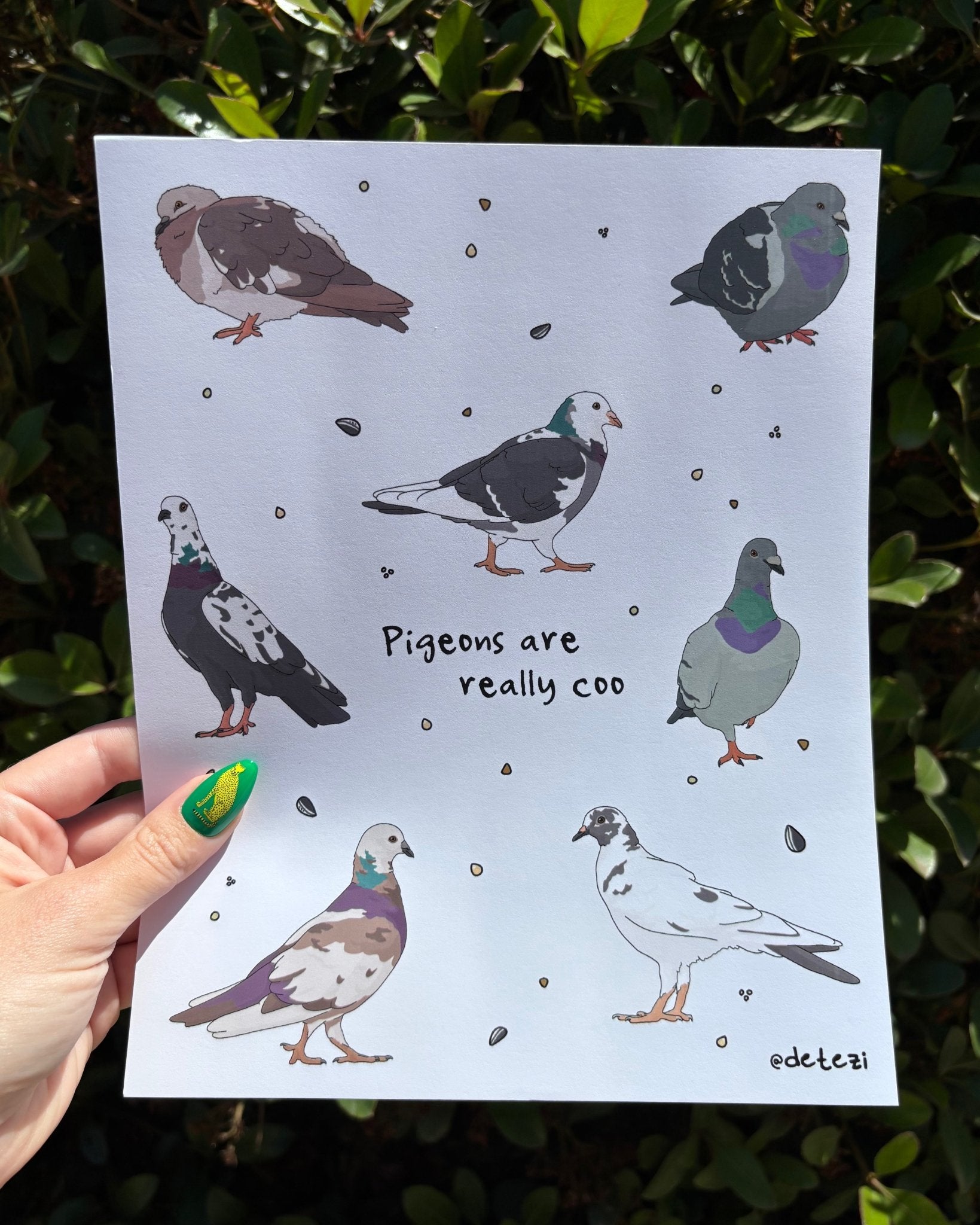 Pigeons Are Really Coo | Giclée Fine Art Print - Detezi Designs - 