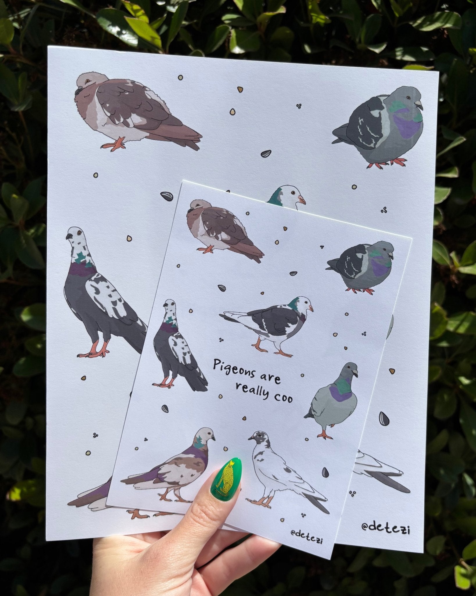Pigeons Are Really Coo | Giclée Fine Art Print - Detezi Designs - 