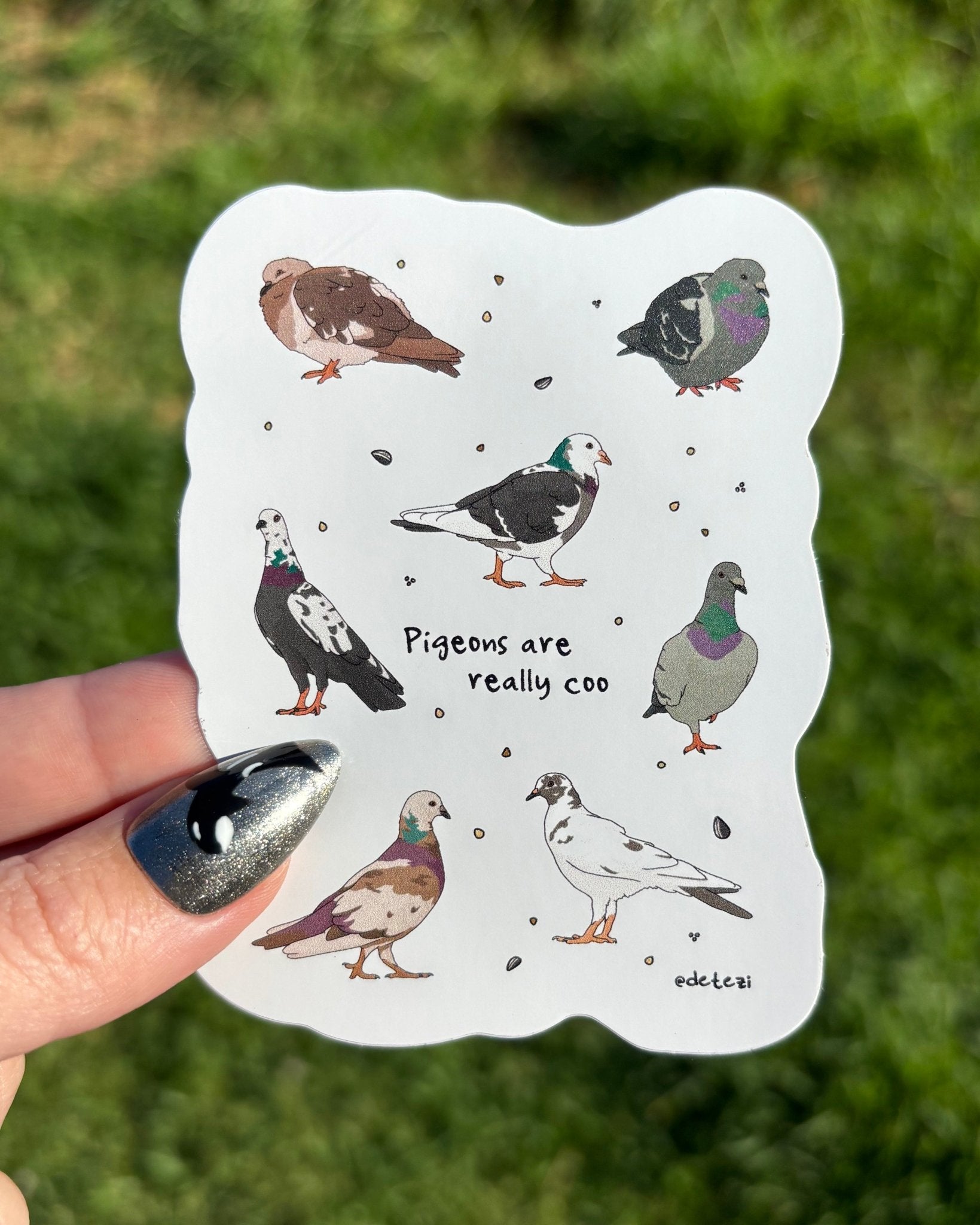 Pigeons are Really Coo | Vinyl Sticker - Detezi Designs-