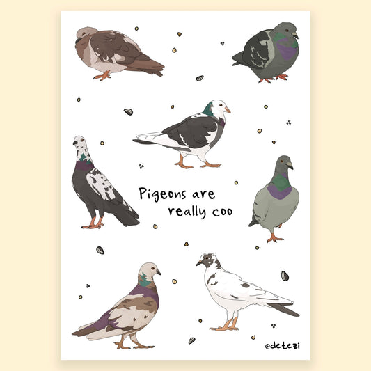 Pigeons are Really Coo | Vinyl Sticker | PRE - ORDER - Detezi Designs - 
