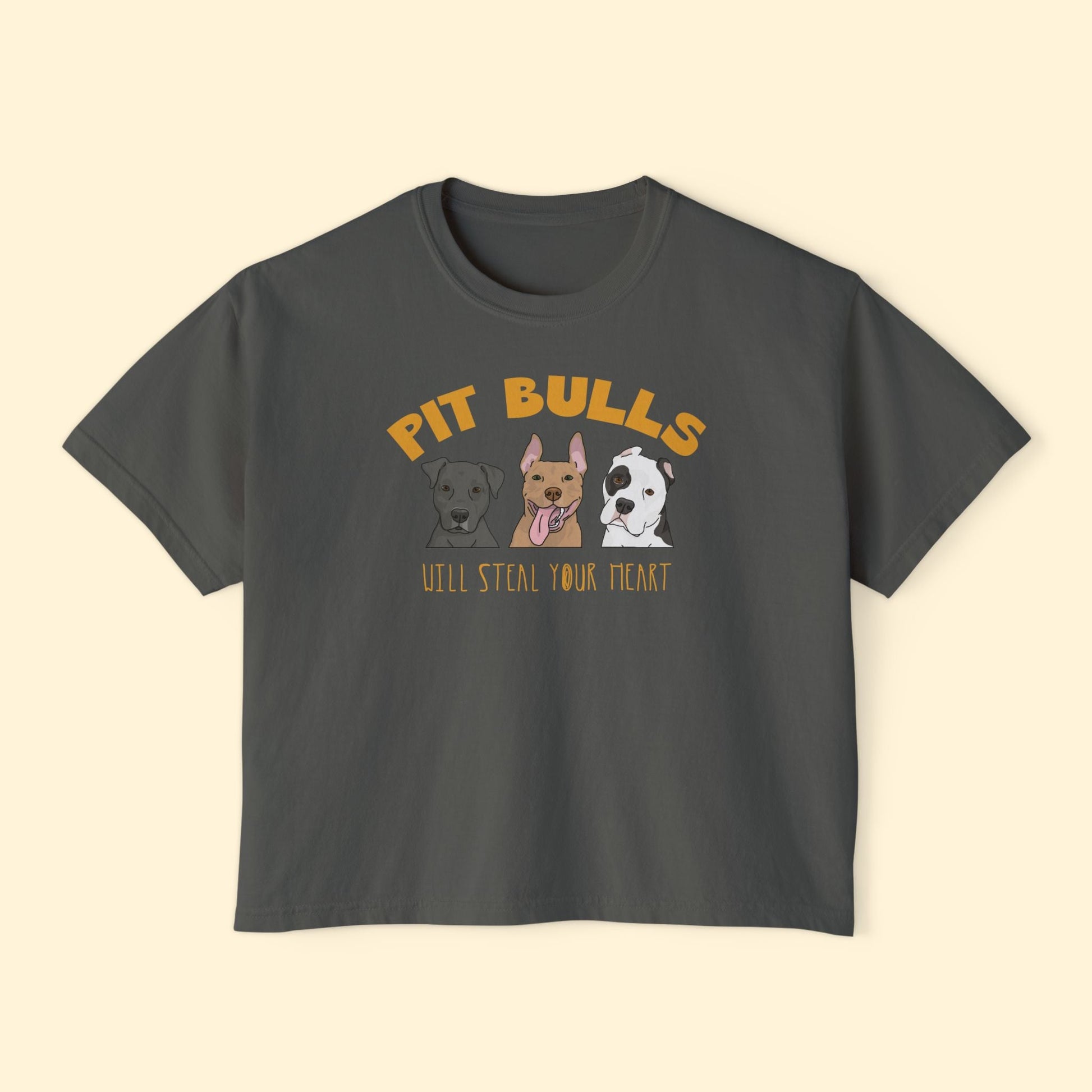Pit Bulls Will Steal Your Heart | Comfort Colors Boxy Tee - Detezi Designs - 18578236571341746116