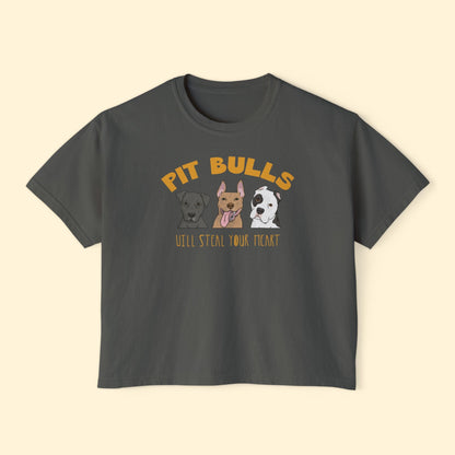 Pit Bulls Will Steal Your Heart | Comfort Colors Boxy Tee - Detezi Designs - 18578236571341746116