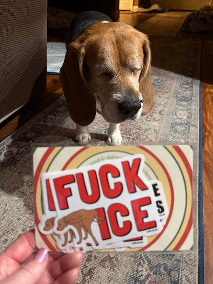 PRE - ORDER | Fuck ICE | 4" Vinyl Sticker - Detezi Designs - 