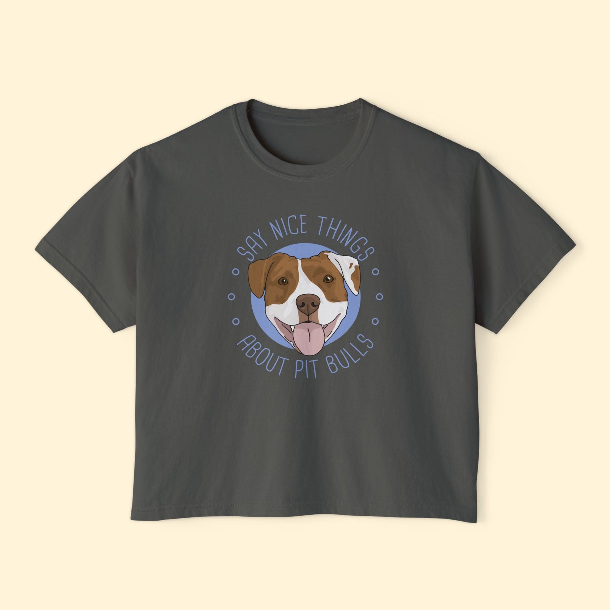 Say Nice Things About Pit Bulls | Comfort Colors Boxy Tee - Detezi Designs - 64821427755999257651