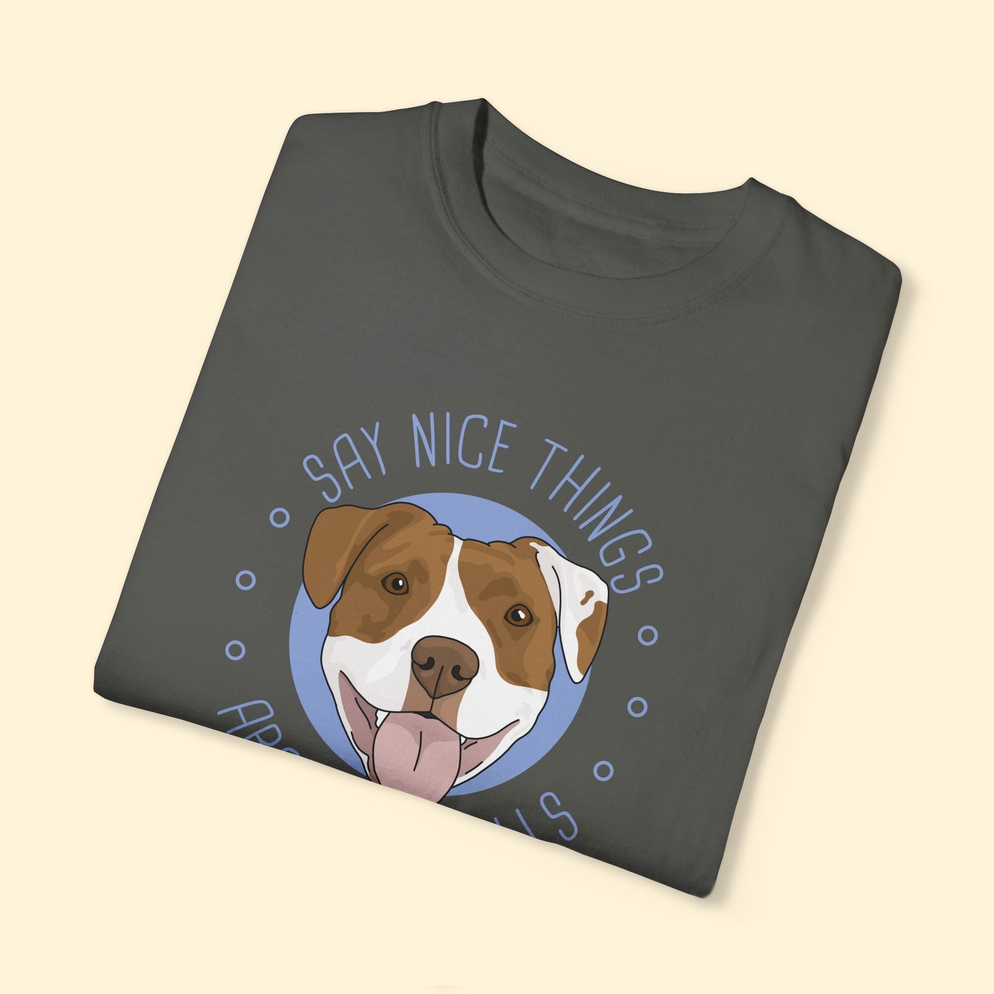 Say Nice Things About Pit Bulls | Comfort Colors Unisex T-shirt - Detezi Designs - 13457830619382644407