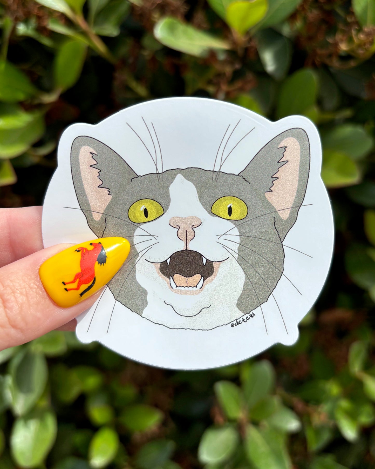 Grey & White DSH Cat | Vinyl Sticker