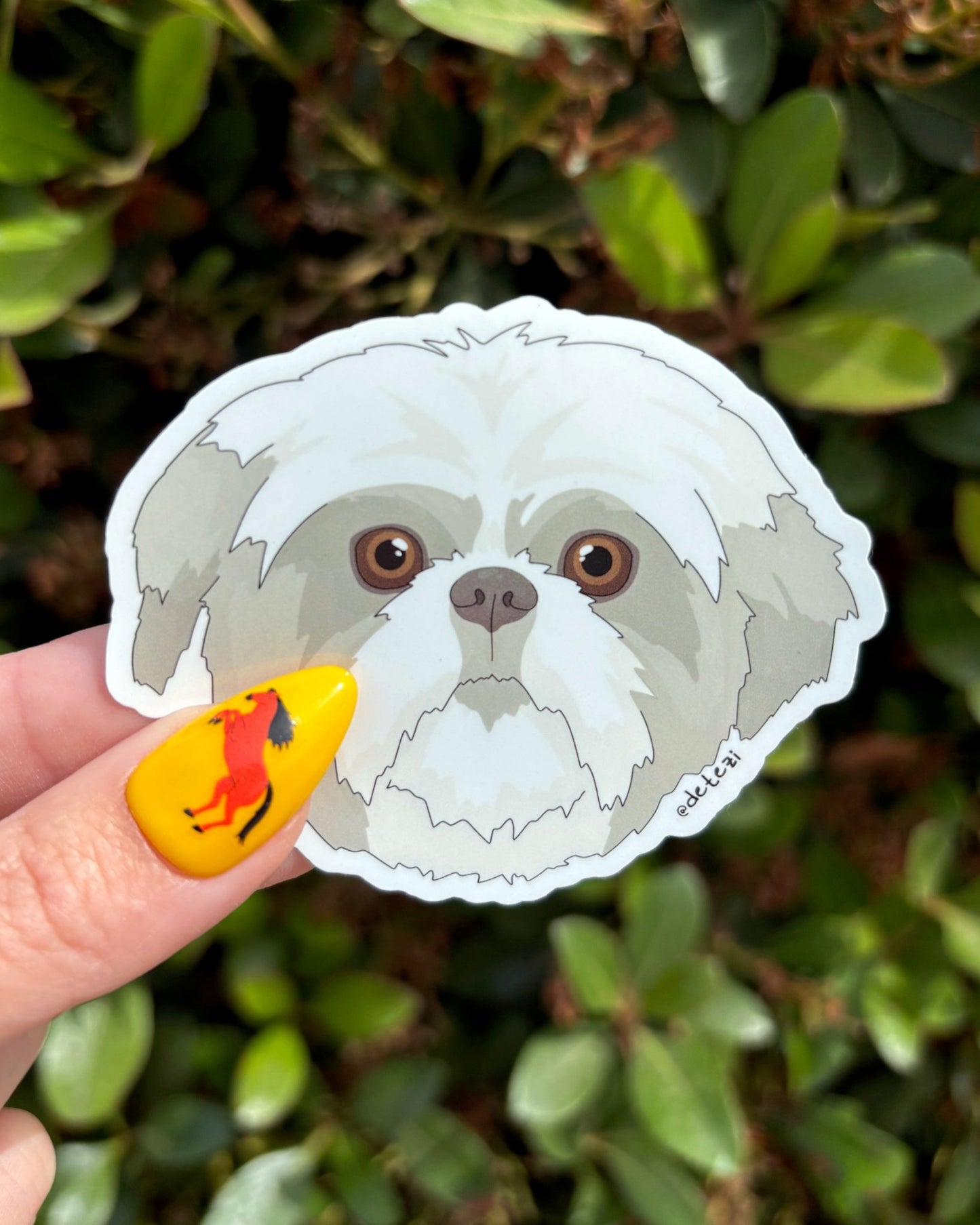 Shih Tzu | Hand - illustrated Face | Vinyl Sticker - Detezi Designs - 