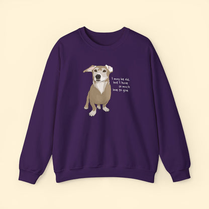 So Much Love | Crewneck Sweatshirt - Detezi Designs - 34420902080349528012
