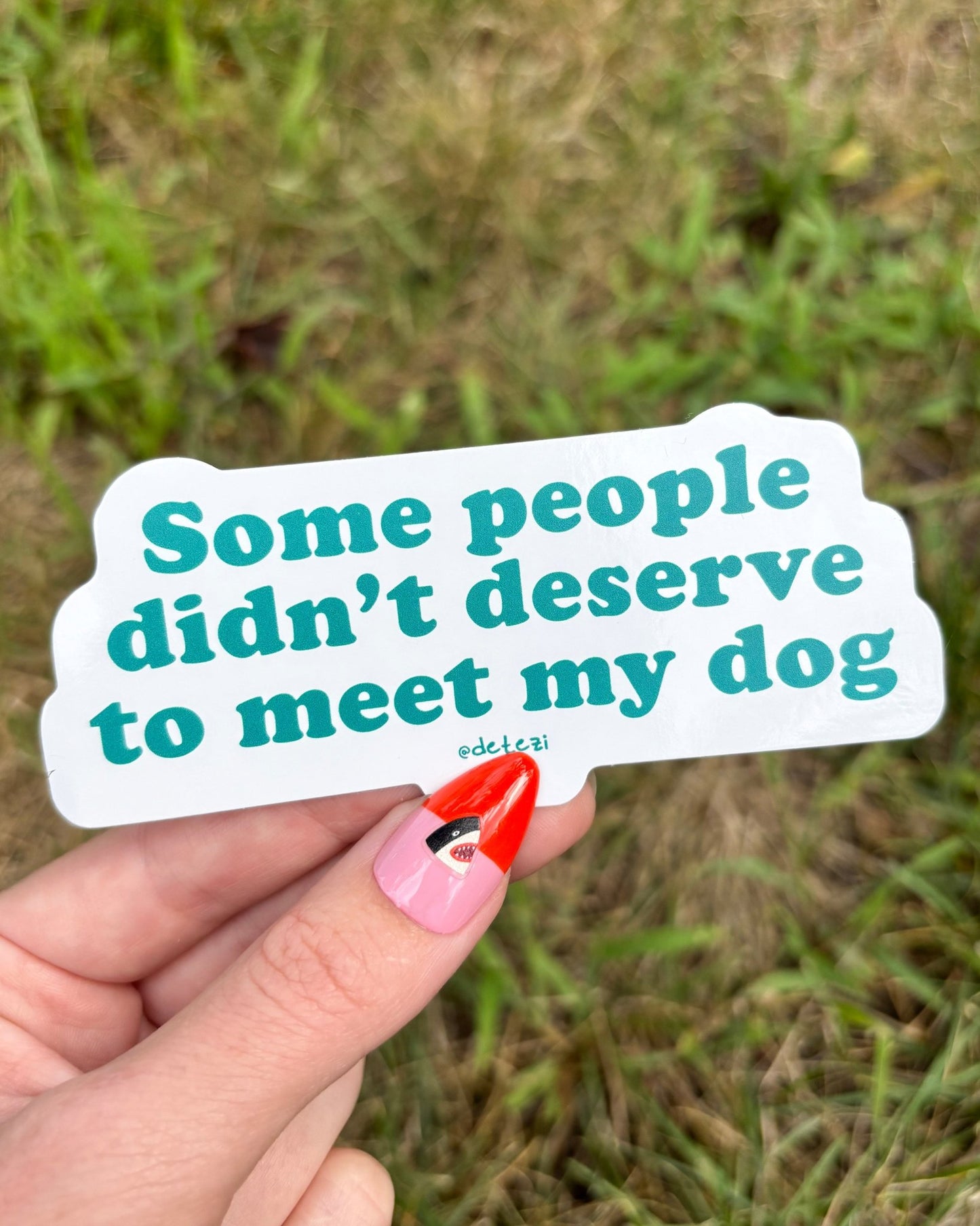 Some People Didn't Deserve To Meet My Dog | Vinyl Sticker - Detezi Designs-