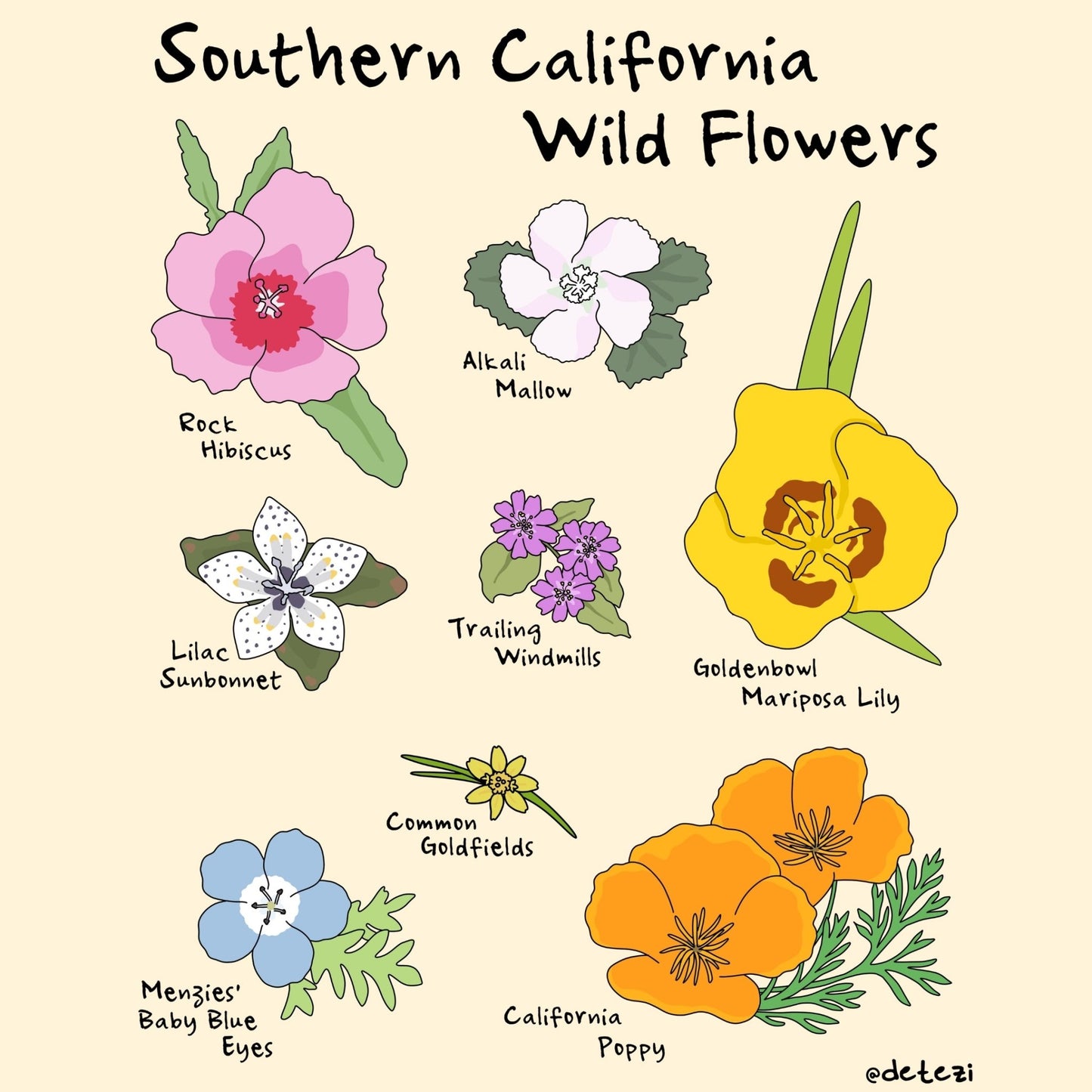 Southern California Wildflowers | Giclee Fine Art Print - Detezi Designs - 