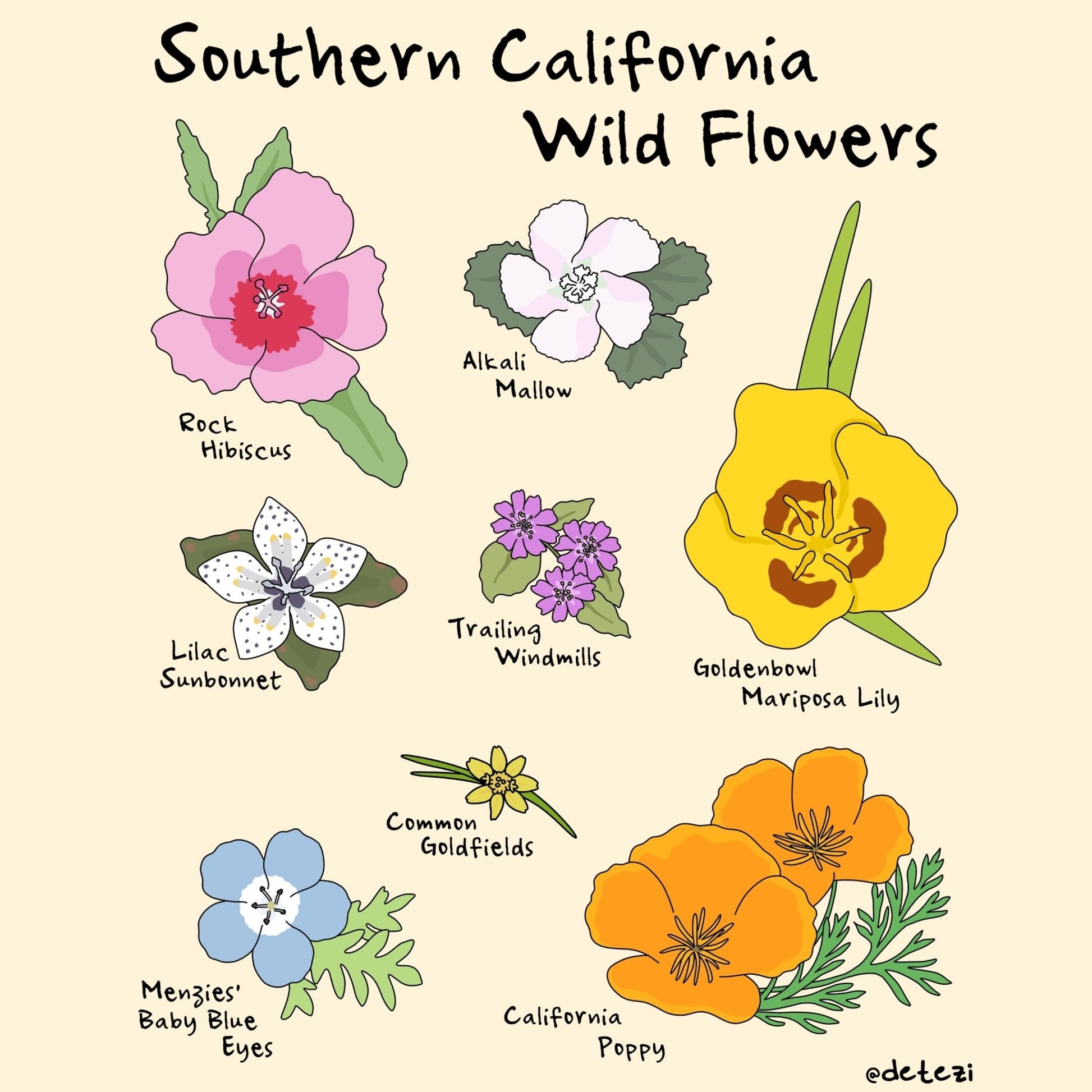 Southern California Wildflowers | Giclee Fine Art Print - Detezi Designs - 