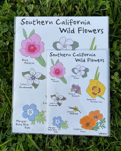 Southern California Wildflowers | Giclee Fine Art Print - Detezi Designs - 