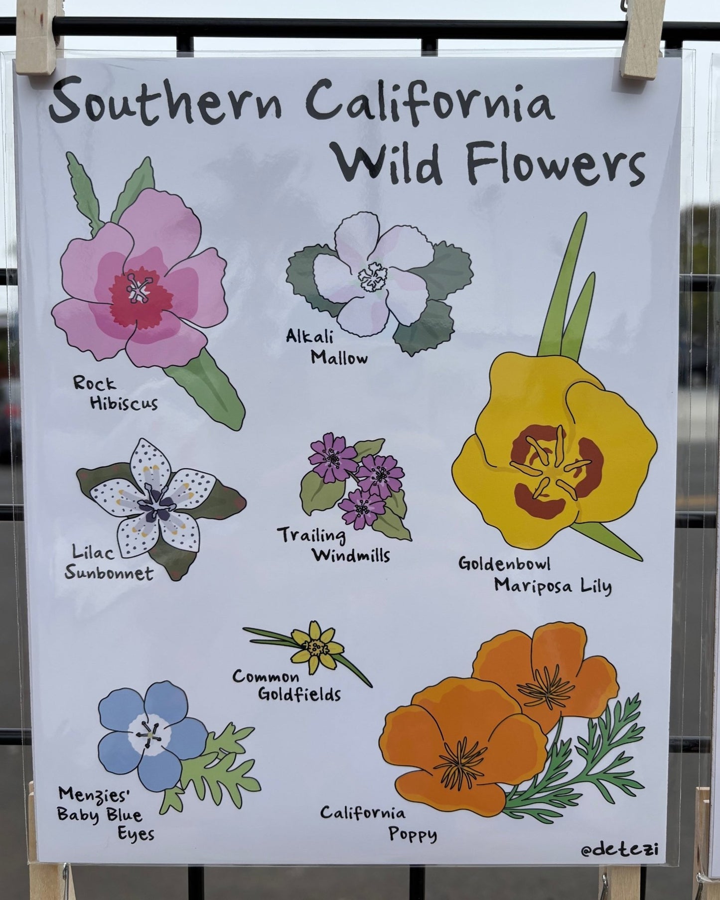 Southern California Wildflowers | Giclee Fine Art Print - Detezi Designs - 