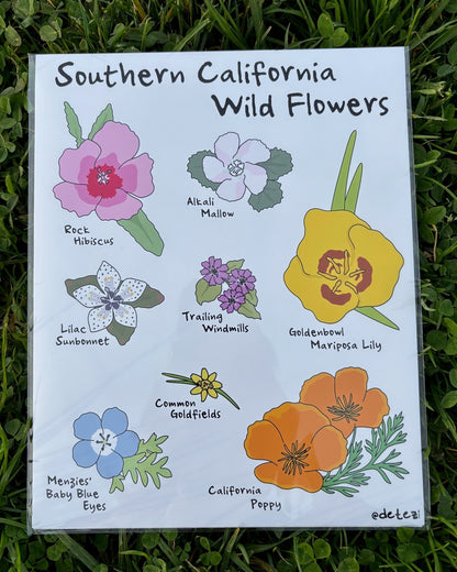 Southern California Wildflowers | Giclee Fine Art Print - Detezi Designs - 