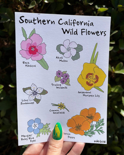 Southern California Wildflowers | Giclée Fine Art Print - Detezi Designs - 