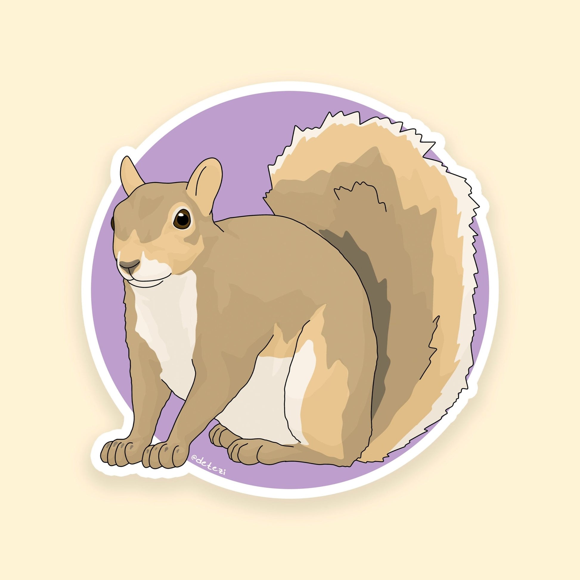 Squirrel | 3" Vinyl Sticker - Detezi Designs - 