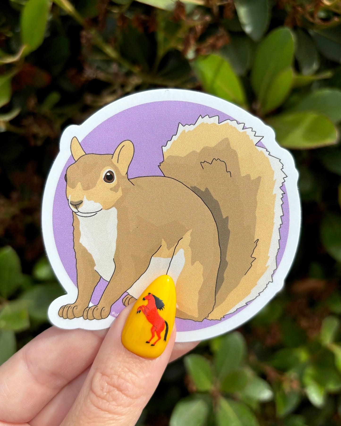 Squirrel | Vinyl Sticker - Detezi Designs - 