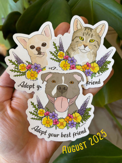 Sticker Club! - Detezi Designs - 